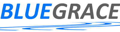 bluegrace-holdings bluegrace-holdings